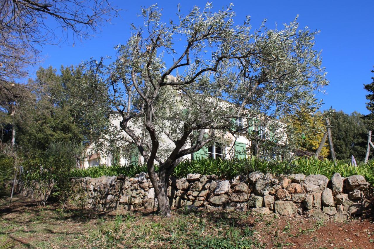 Appartement Ecole Buissonnière à Antibes Extérieur photo