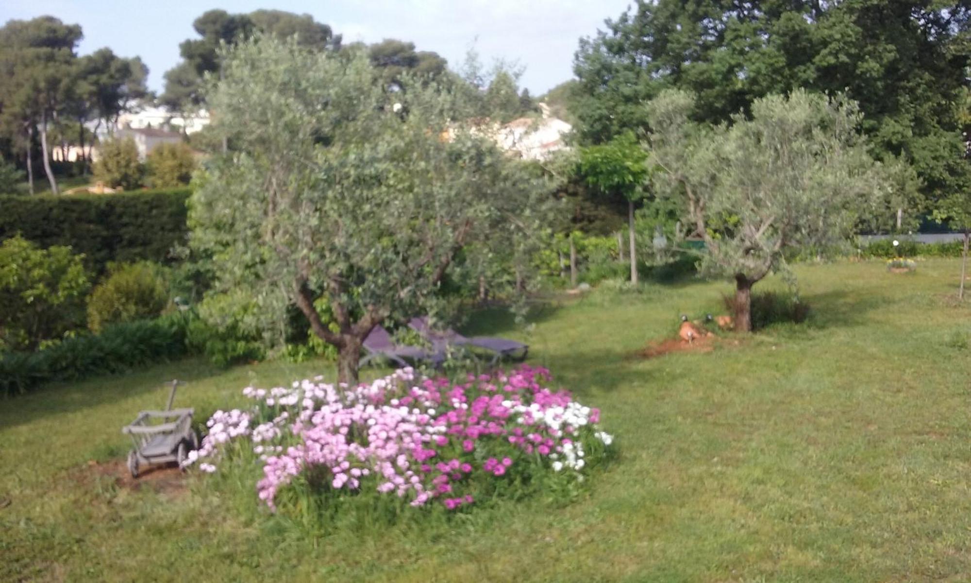 Appartement Ecole Buissonnière à Antibes Extérieur photo